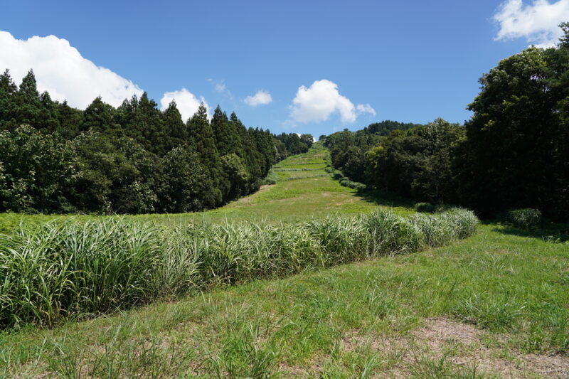 長岡市営スキー場 登山 | 新潟県長岡市のスキークラブ【ダウンヒルスキークラブ】